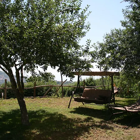 فندق مبيت وإفطار Casa Pendola 4*