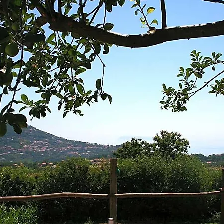 Casa Pendola 4*